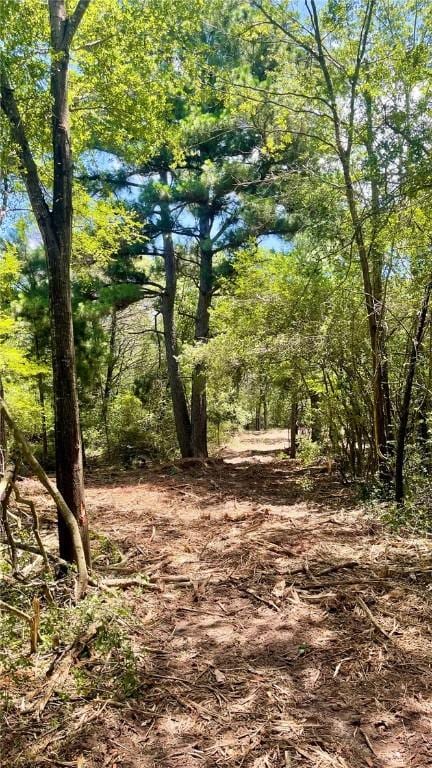 5.75 Acres Rd, Franklin, TX 77856 - photo 13