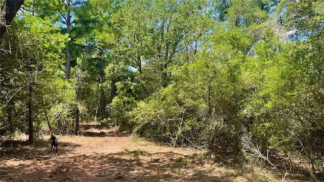 5.75 Acres Rd, Franklin, TX 77856 - photo 10