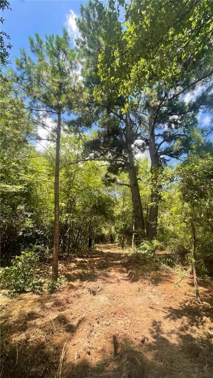 5.75 Acres Rd, Franklin, TX 77856 - photo 11