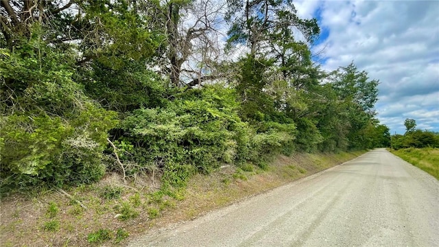 5.75 Acres Rd, Franklin, TX 77856 - photo 9