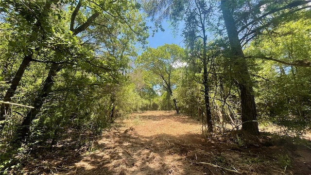 5.75 Acres Rd, Franklin, TX 77856 - photo 12