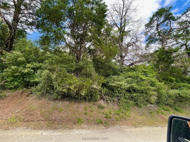 5.75 Acres Rd, Franklin, TX 77856 - photo 8