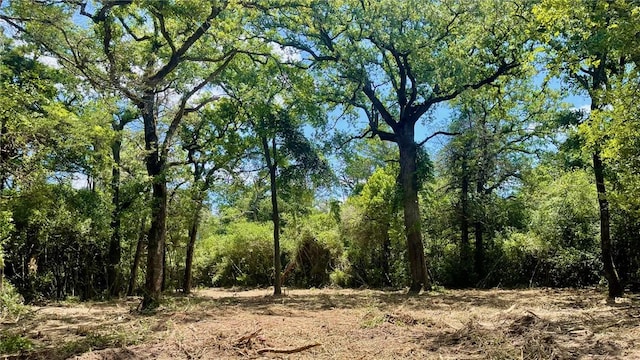 5.75 Acres Rd, Franklin, TX 77856 - photo 2