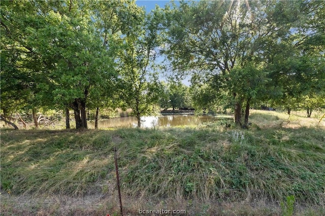 view of local wilderness featuring a water view