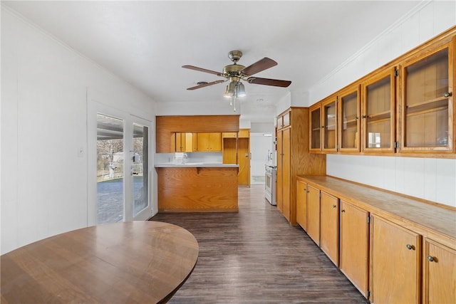 kitchen featuring ceiling fan, kitchen peninsula, crown molding, dark hardwood / wood-style flooring, and white range oven