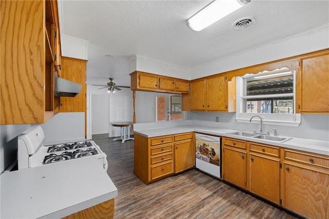 kitchen featuring white appliances, dark hardwood / wood-style flooring, sink, kitchen peninsula, and range hood