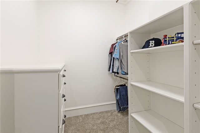 4675 River Garden Ct, Bryan, TX 77808 - spacious closet with carpet floors