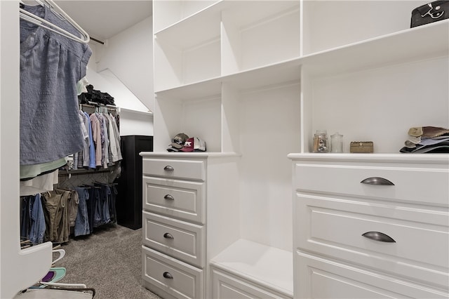 4675 River Garden Ct, Bryan, TX 77808 - walk in closet featuring carpet floors