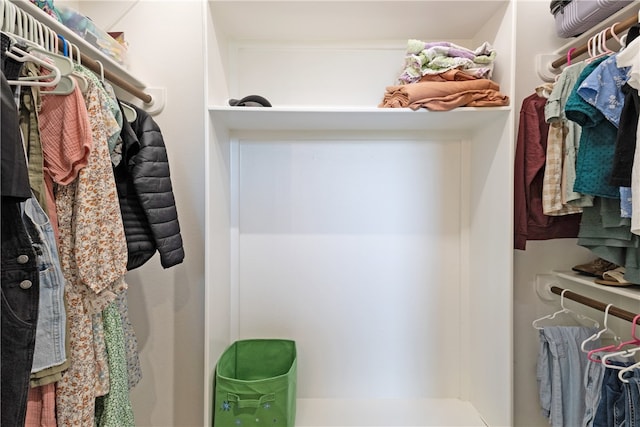 4675 River Garden Ct, Bryan, TX 77808 - view of spacious closet