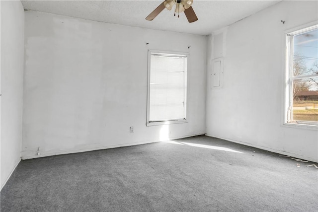 spare room with ceiling fan and carpet floors