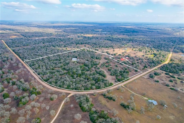 11384 Silver Springs Rd, Rockdale TX, 76567 land for sale