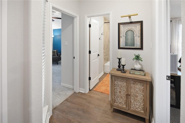 hall featuring wood-type flooring