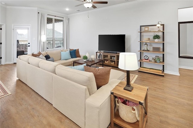 living room featuring ceiling fan, ornamental molding, and light hardwood / wood-style floors