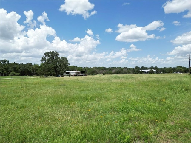 23403 Chisolm Trl, Navasota, TX 77868 - photo 9