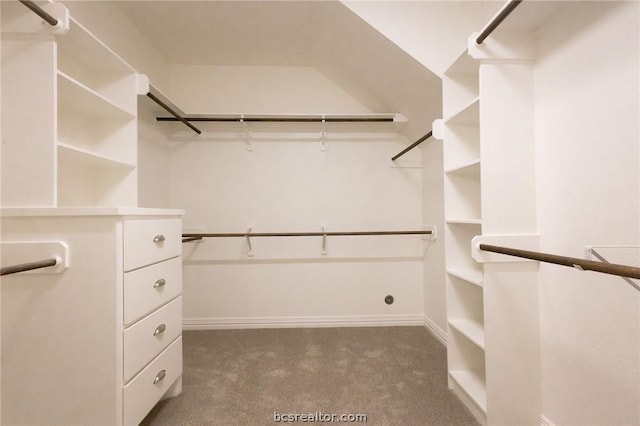 walk in closet with dark colored carpet