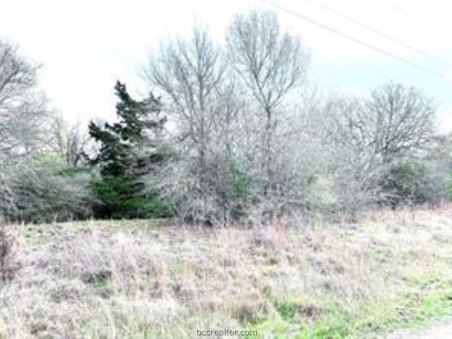 TBD Canyon Dr, Caldwell TX, 77836 land for sale