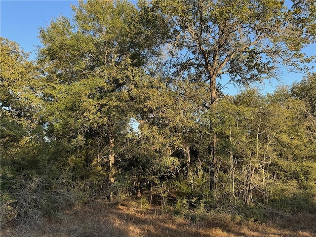 3309 Deer Ledge, Caldwell TX, 77836 land for sale