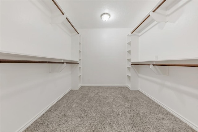 301 S Hutchins St, Bryan, TX 77803 - spacious closet with carpet