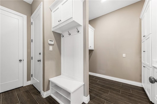 mudroom with dark hardwood / wood-style flooring