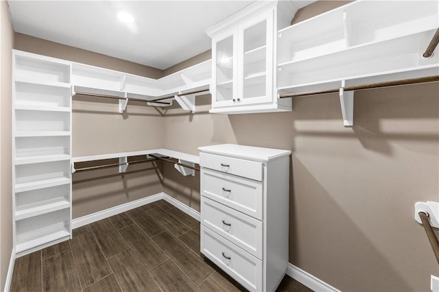 spacious closet featuring dark hardwood / wood-style flooring