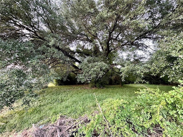 1001 N Washington Ave, Bryan, TX 77803 - photo 2