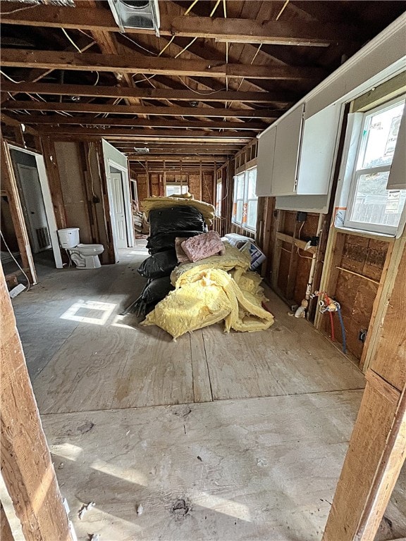 miscellaneous room with a healthy amount of sunlight