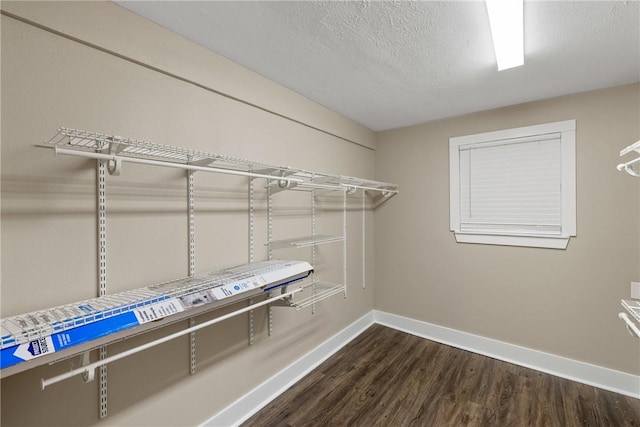 walk in closet with dark hardwood / wood-style flooring