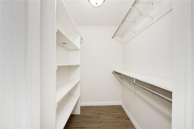 spacious closet with dark wood-type flooring