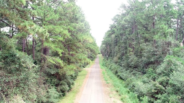 Listing photo 2 for TBD Pavlock Rd, Navasota TX 77868