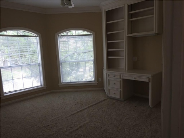 2911 Colton Pl, College Station, TX 77845 - photo 24