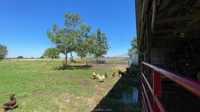 view of yard featuring a rural view