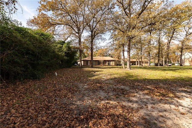 64 Golfview Dr, Hilltop Lakes, TX 77871 - photo 35