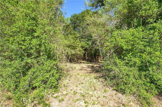 Listing photo 2 for 000 County Rd 151, Bedias TX 77831