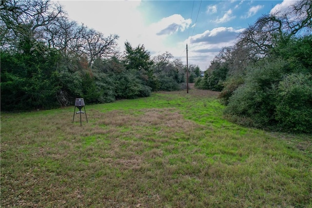 11384 Silver Springs Rd, Rockdale, TX 76567 - photo 37