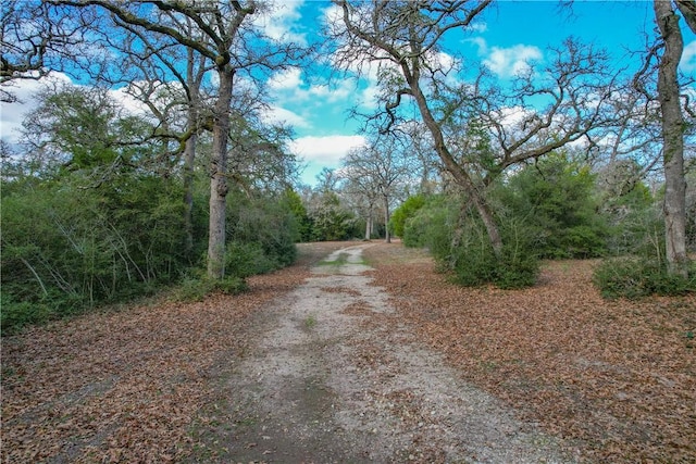 11384 Silver Springs Rd, Rockdale, TX 76567 - photo 27