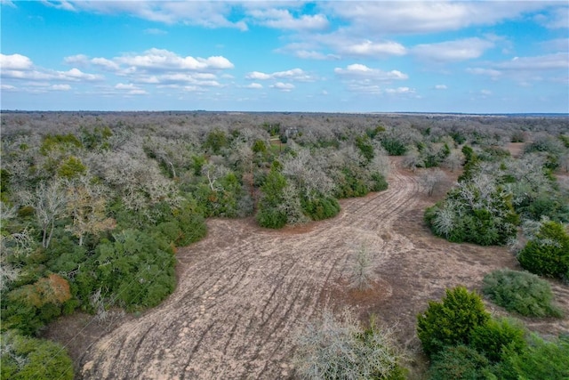 11384 Silver Springs Rd, Rockdale, TX 76567 - photo 31