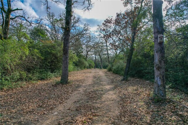 view of road