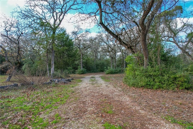 11384 Silver Springs Rd, Rockdale, TX 76567 - photo 29