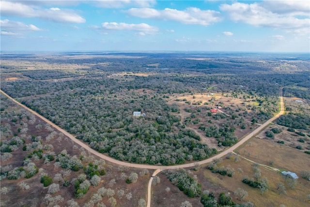 11384 Silver Springs Rd, Rockdale, TX 76567 - photo 41