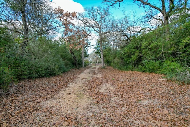 view of road