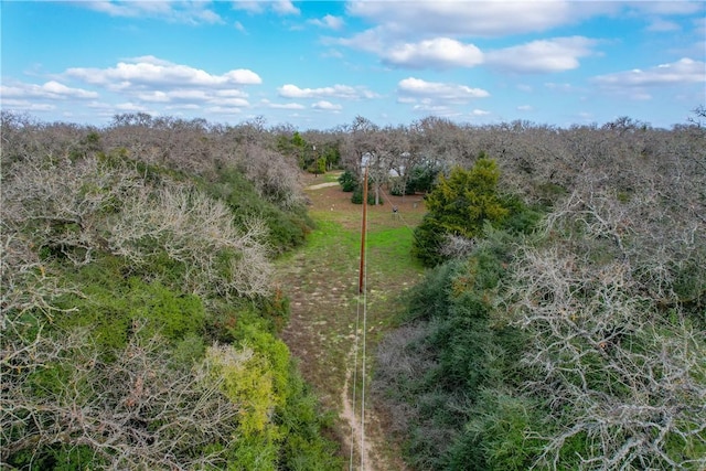 11384 Silver Springs Rd, Rockdale, TX 76567 - photo 32