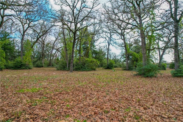 11384 Silver Springs Rd, Rockdale, TX 76567 - photo 34