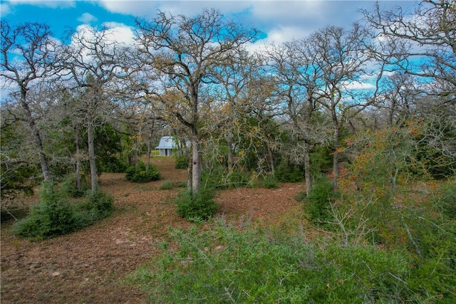 11384 Silver Springs Rd, Rockdale, TX 76567 - photo 30