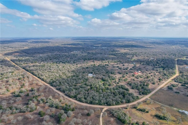 11384 Silver Springs Rd, Rockdale, TX 76567 - photo 45