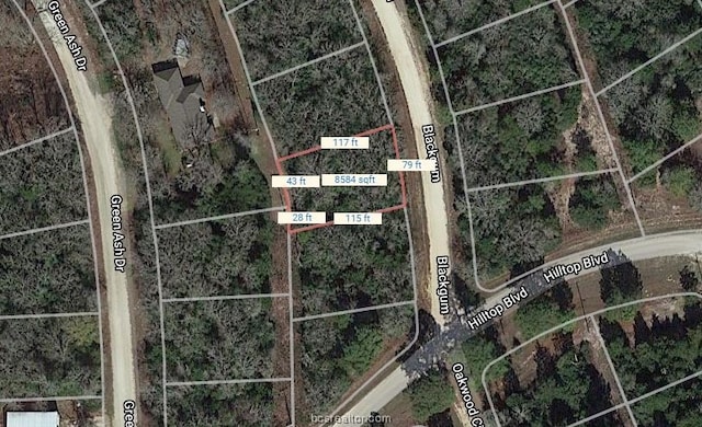 LOT16 Blackgum Dr, Hilltop Lakes TX, 77871 land for sale