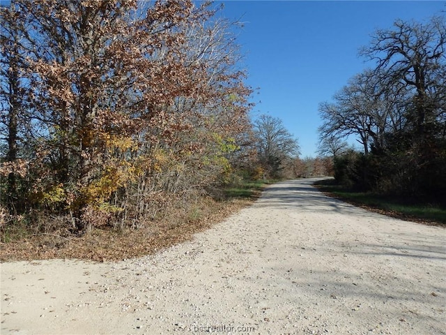 Listing photo 3 for 16914 County Road 163, Iola TX 77681