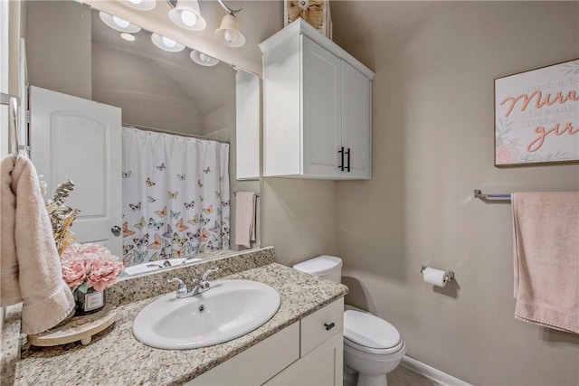 bathroom featuring vanity, toilet, and a shower with shower curtain