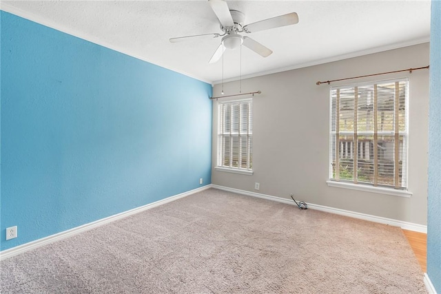 spare room featuring ceiling fan, a healthy amount of sunlight, carpet floors, and crown molding