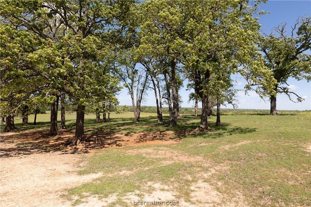 TBD Highway 79, Franklin, TX 77856 - photo 20