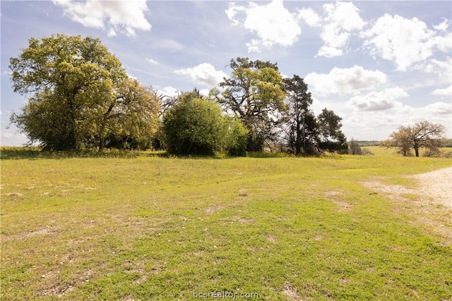 TBD Highway 79, Franklin, TX 77856 - photo 7